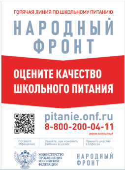 Народный фронт2